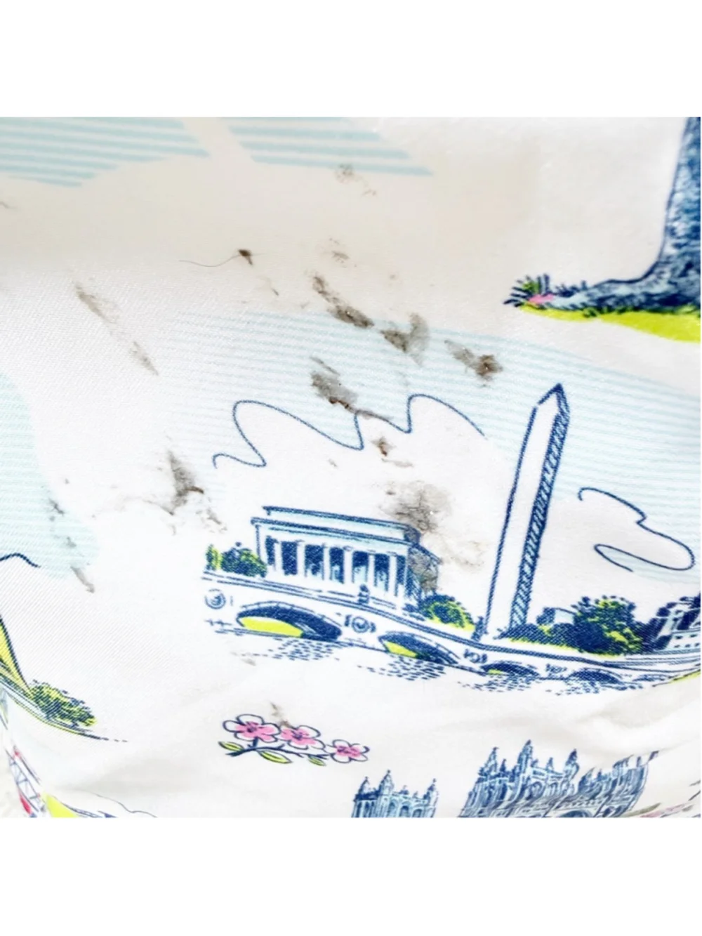 SCOUT The Stiff One Large Soft Cooler Washington DC Pattern Insulated Picnic Bag